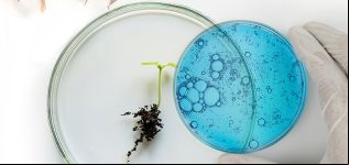 H&M premia al algodón de laboratorio de Galy